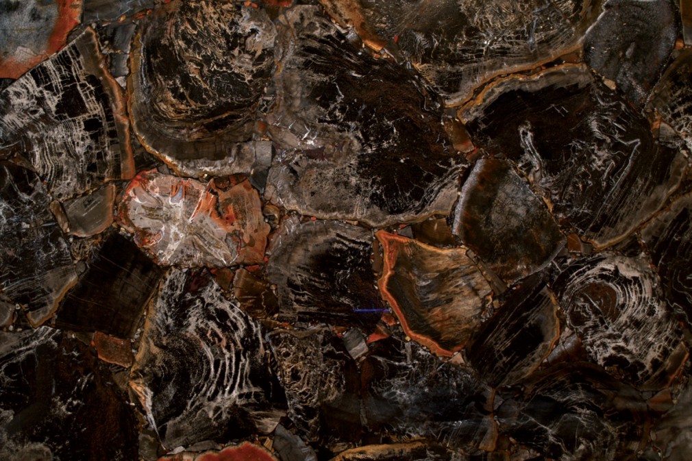 DARK PETRIFIED WOOD